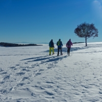 Räätsamatk